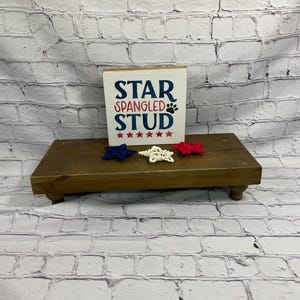 May include: A wooden sign with the words "STAR SPANGLED STUD" in navy blue and red, with star accents. Three star-shaped ornaments in red, white, and blue sit on a wooden display.