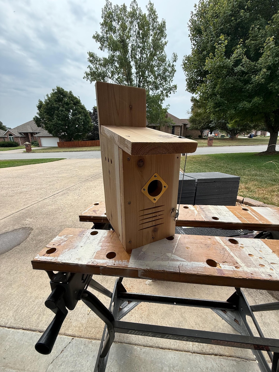 Handmade Cedar Eastern Bluebird Nest Box, Predator Guard, Easy Clean