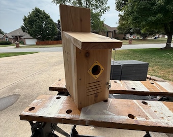 Handmade Cedar Eastern Bluebird Nest Box, Predator Guard, Easy Clean