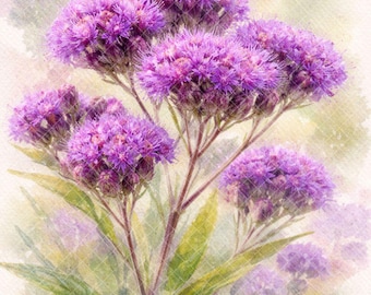 Puede incluir: Pintura a la acuarela de flores moradas con múltiples racimos de pequeñas flores esponjosas. Las flores tienen un aspecto suave y texturizado, con hojas y tallos verdes. El fondo es un lavado de color claro y borroso.