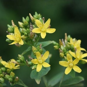 May include: A white ceramic mug with a black handle and the text "But First, Coffee" in a black, handwritten-style font. The mug is on a white surface.