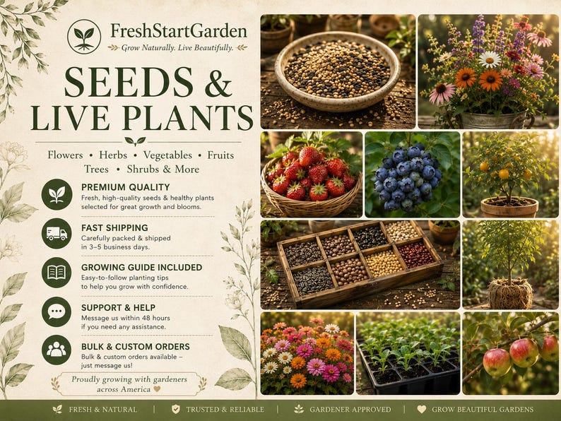 Puede incluir: Un gr&aacute;fico promocional para FreshStartGarden con el texto SEEDS & LIVE PLANTS y una lista de categor&iacute;as que incluye flores, hierbas, verduras, frutas, &aacute;rboles y arbustos. La imagen muestra varias semillas, bayas y plantas.