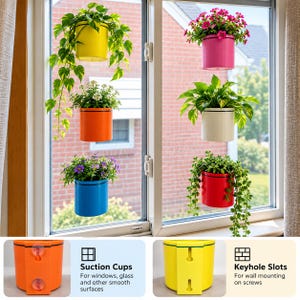 Può includere: Sei vasi per piante cilindrici in giallo, arancione, blu, rosa, bianco e rosso, ciascuno contenente una pianta verde o fiori. I vasi sono dotati di ventose per il fissaggio a finestra o fori a serratura per il montaggio a parete su viti.