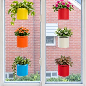 May include: Six cylindrical hanging planters in yellow, orange, blue, red, white, and red, each containing a different plant. The planters are attached to a window pane, displaying a pothos, orange flowers, succulents, pink flowers, white flowers, and a fittonia.