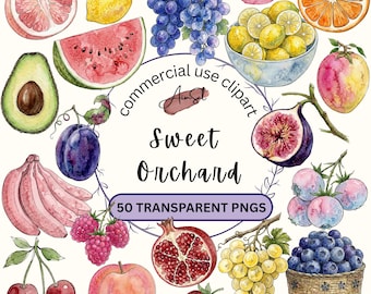Sweet Orchard Clipart Bundle PNG, Summer Fruity Watercolor Clipart, Fresh Fruit Illustrations, Food Graphics