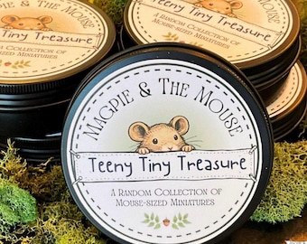 Teeny Tiny Treasures - Miniature tin mystery box Random Assortment Dollhouse Accessories, Vintage Curiosity Gift for Collectors,