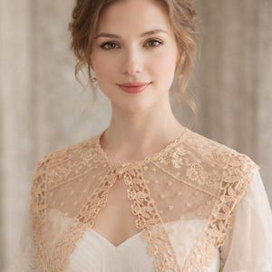 Vintage Schiffli Lace Collar Capelet Ecru Embroidered Net – 1920s 1930s Romantic Floral Overlay – Edwardian Style Statement Collar