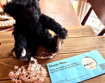 Steiff Mohair Titanic Bear