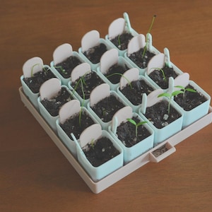 Può includere: Un vassoio quadrato per la semina con sedici vasetti individuali azzurri, ciascuno riempito di terra e piccole piantine. Ogni vasetto ha un'etichetta bianca. Il vassoio è su una superficie di legno.