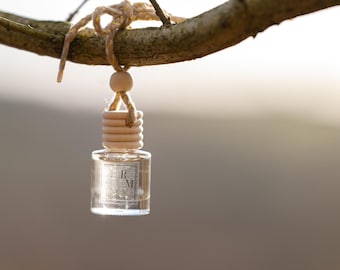 Winter Berries Scented Car Diffuser
