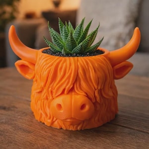 May include: An orange plant pot in the shape of a Highland cow's head, featuring horns, ears, and shaggy fur. It contains a green succulent plant. The pot sits on a wooden surface.