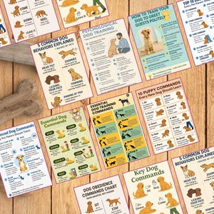 May include: A collection of educational dog training charts and guides, featuring illustrations of dogs demonstrating commands like "Sit," "Stay," and "Come." The charts cover topics such as puppy commands, common dog behaviors, and obedience training.