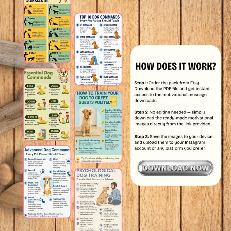 Dog Commands Cheat Sheet Printable | Basic Training Commands Guide ...