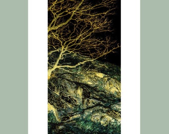 OriginalPrint 'Root and Rock 5'. (A2 size)