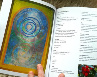 NEUER Band Vier. Das Baumgeist-Heiler-Quellbuch (Silber-Birke - Eibe) - Limitierte Buch