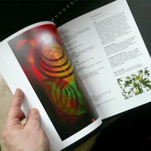 May include: An open book with a spiral binding, featuring colorful abstract art in red, orange, and green. Text on the pages includes the word "FIG" and other details about healing patterns and energy.