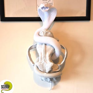 May include: A white sculpture featuring a cobra with its hood flared, coiled around a central skull-like structure. The snake has detailed scales and an open mouth. The entire piece is monochromatic white and mounted on a wall, with a small logo in the corner reading SCINK creations.