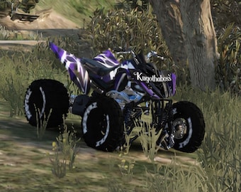 Raptor 700 sin insignia