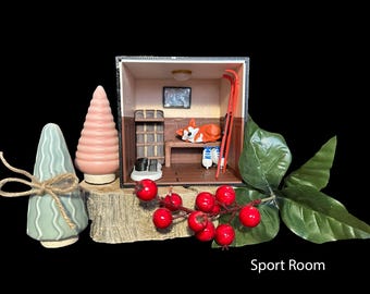 Sports Room- Mini themed holiday room