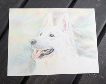 Custom Colored Pencil Pet Portrait | Hand-Drawn from Your Photo | Animal lover Art Gift