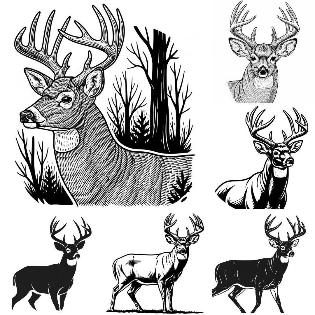 10 Point Buck SVG PNG Bundle – 9 Files | 10 Point Deer SVG | Hunting ...