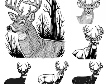 10-punts Buck SVG PNG-bundel – 9 bestanden | 10-punts hert SVG | Clipart jachtbok | Cricut Cut-bestanden