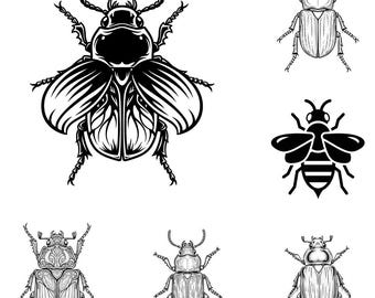 Beetle SVG PNG-bundel – 12 bestanden | Schattige kever-svg | Insectenclipart | Cricut Cut-bestanden