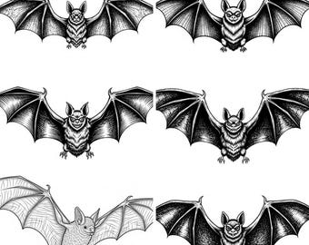 Vleermuis SVG PNG-bundel – 11 bestanden | Schattige vleermuis-svg | Halloween-clipart | Cricut Cut-bestanden