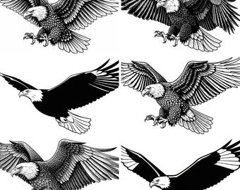 Bald Eagle SVG PNG-bundel – 15 bestanden | Amerikaanse adelaar SVG | Clipart patriottische adelaar | Cricut Cut-bestanden