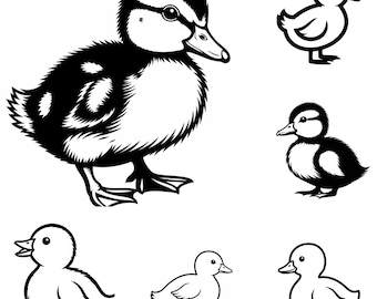 Baby eend SVG PNG-bundel – 11 bestanden | Schattige babyeend SVG | Clipart babydieren | Cricut-gesneden bestanden voor de kinderkamer