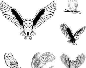 Kerkuil SVG PNG-bundel – 21 bestanden | Uil-SVG | Clipart bosuil | Cricut Cut-bestanden