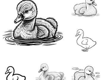 Babyzwaan SVG PNG-bundel – 18 bestanden | Schattige babyzwaan SVG | Vogel dieren clipart | Cricut-gesneden bestanden voor de kinderkamer