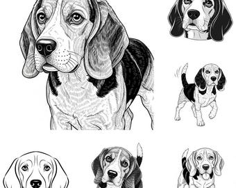 Beagle SVG PNG-bundel – 28 bestanden | Schattige beagle hond SVG | Hondenras Clipart | Cricut Cut-bestanden