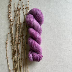 May include: A skein of hand-dyed yarn in shades of purple and pink, with a twisted, textured appearance. The yarn is positioned next to several dried, slender branches with small, brown seed pods, all set against a neutral background.