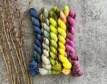 Wind Dance II | Mini Skein Set | SW Merino Nylon | Scrappy Knitting | Fingering | Sock Yarn | Knitting Yarn | Crochet Yarn | OOAK