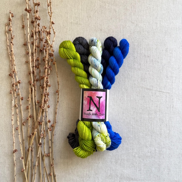 Nous sommes les champions du monde ! Lot de mini-écheveaux