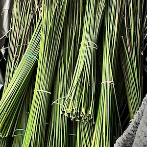 DIY St. Brigid’s Cross Kit | Traditional Irish Imbolc Craft | Fresh Rushes | St. Brigid’s Day Home Blessing | Connect with Celtic Heritage