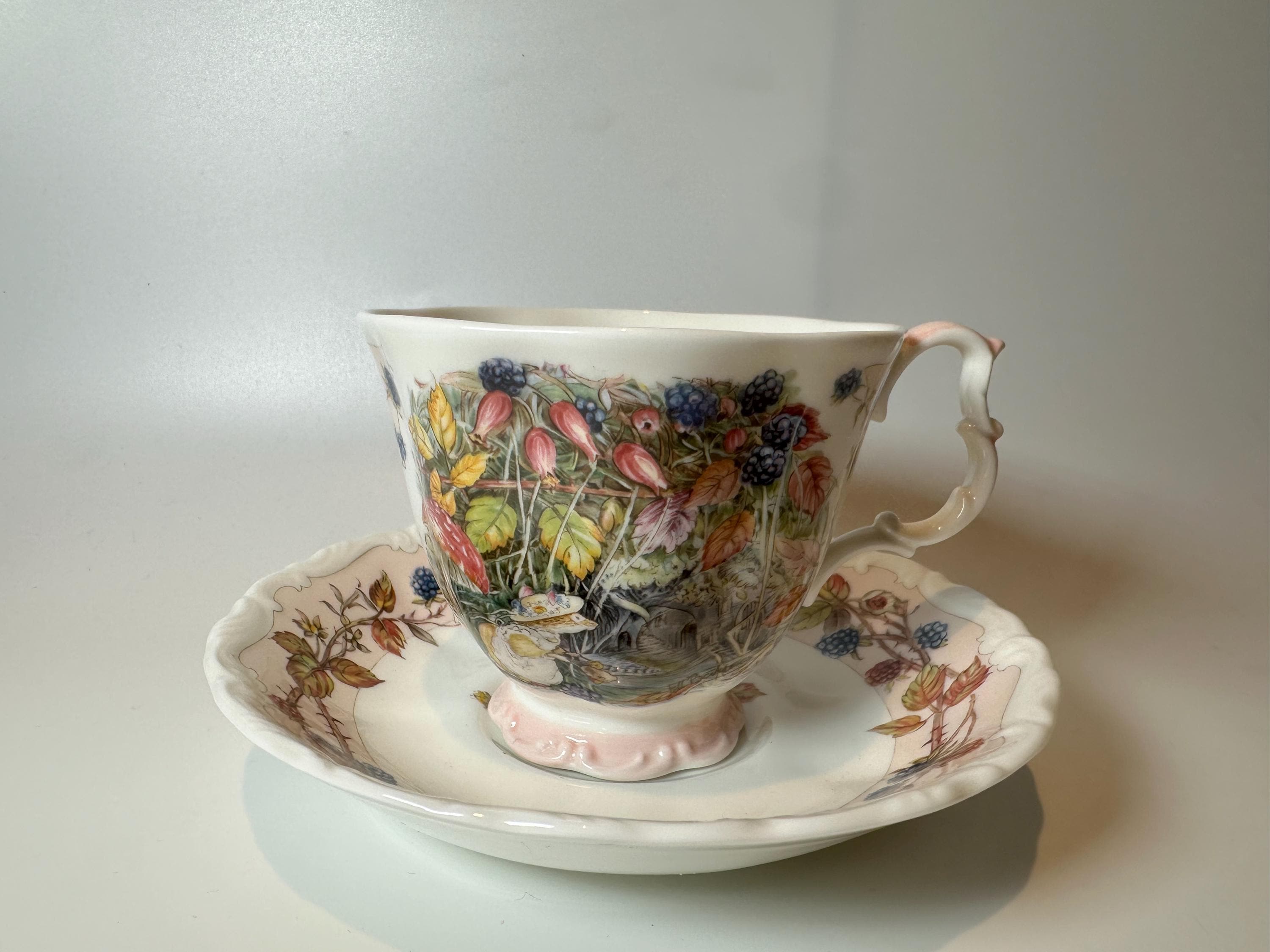 Brambly Hedge China - Etsy