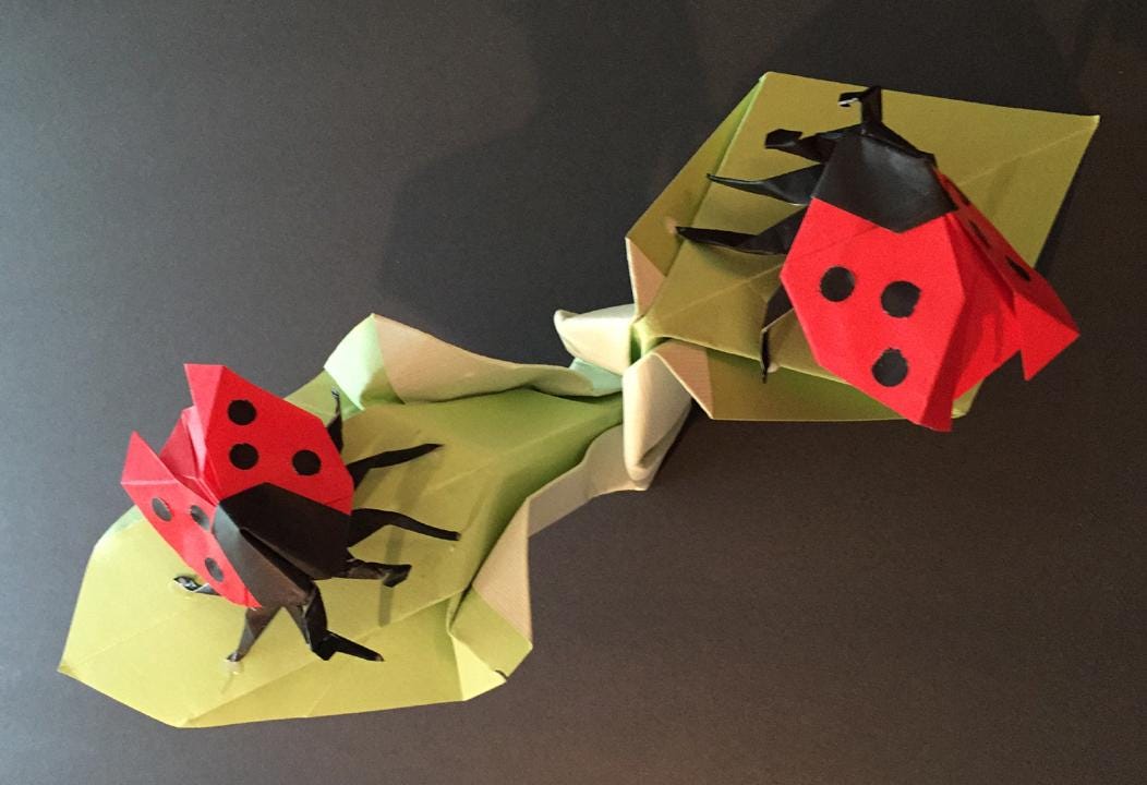 Origami Ladybug - Etsy