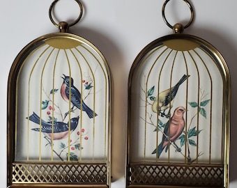 Vintage Trompe L'oeil Style Framed Birds in Birdcage Brass Home Decor MCM Nature
