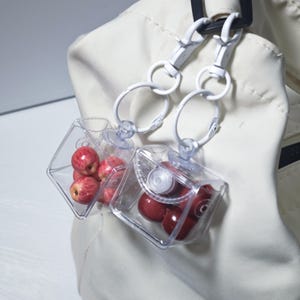 May include: Two clear, square containers with white metal clasps and rings, each holding small red apples. The containers are attached to a white jacket. The apples have a red and yellow colour.