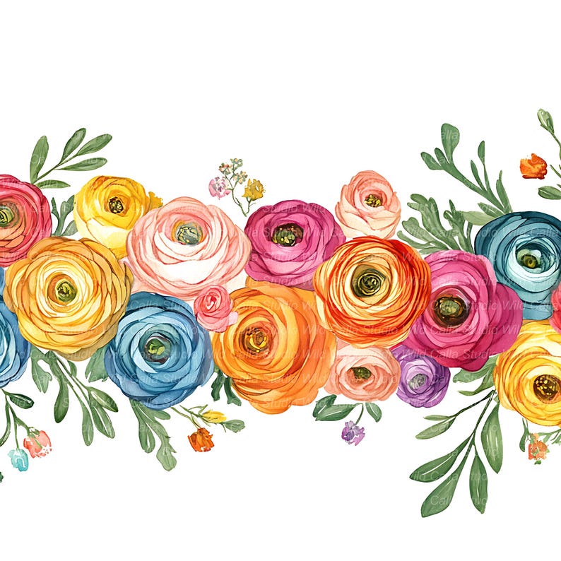 Spring Ranunculus Clipart Set - Pastel Wildflower Borders - Etsy