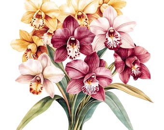 Clipart Set: 16 Watercolor Orchids - Floral Bouquet Designs
