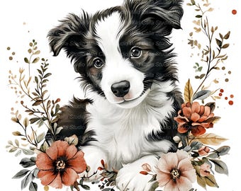 12 Border Collie Puppy Clipart, Floral Watercolor (Digital Download)