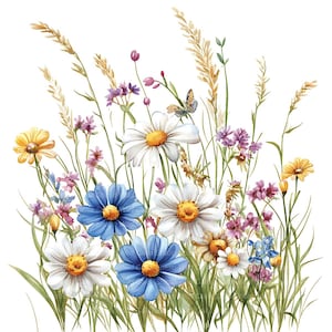 Può includere: Illustrazione ad acquerello di un prato di fiori selvatici. Presenta margherite, fiori blu e altri fiori selvatici con erba verde e spighe di grano. È presente anche una farfalla. I fiori hanno centri gialli e sono su sfondo bianco.