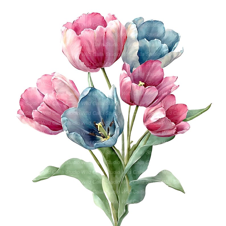 Watercolor Tulip Clipart Set - 12 Floral Images for Scrapbooking - Etsy