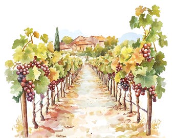 16 Watercolor Vineyard Clipart - Grape Fields for Paper Crafts