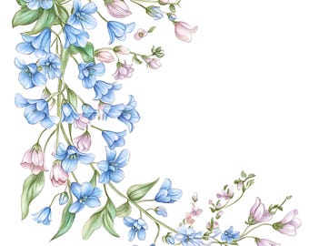 Spring Floral Clipart, Bluebell Corner Borders (12 JPG Digital Downloads)
