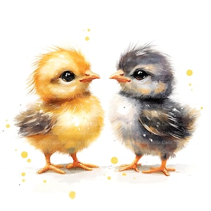 May include: A watercolour illustration of two fluffy chicks. One is yellow with brown accents, the other is grey with white and brown accents. Both have large, dark eyes and orange beaks and feet. The background is white with yellow paint splatters.