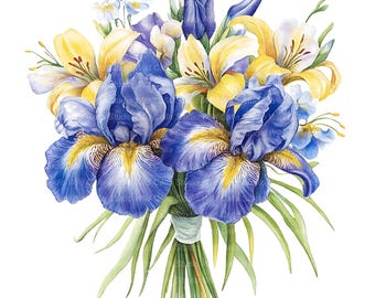 Flower Clipart Bundle - 12 Watercolor Irises and Lilies